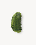 Crescent Claw in Algae