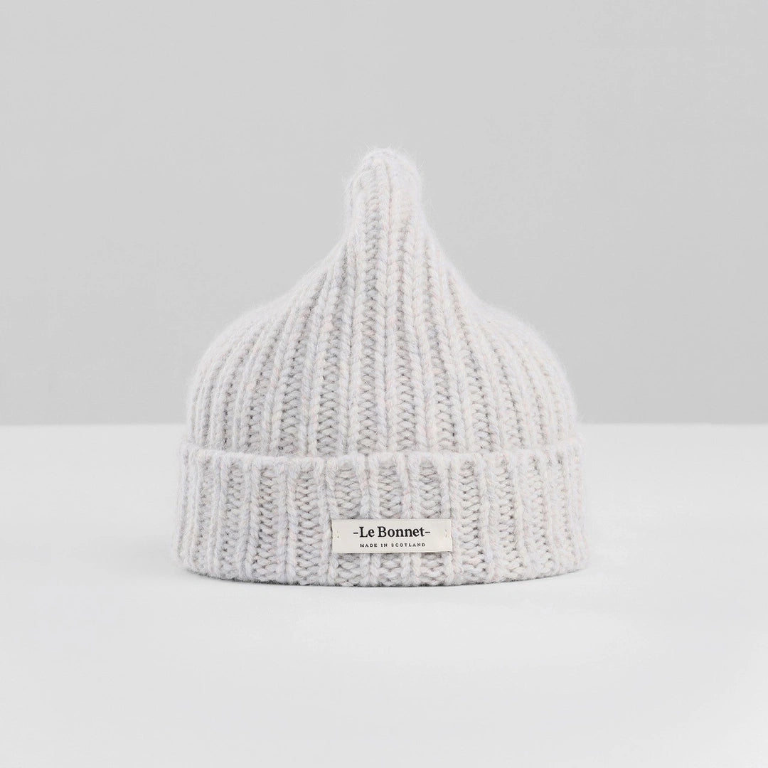Le Logo Beanie - Irridescent